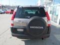 2005 Sahara Sand Metallic Honda CR-V EX 4WD  photo #7
