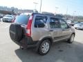 2005 Sahara Sand Metallic Honda CR-V EX 4WD  photo #8