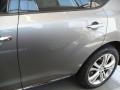 Platinum Graphite Metallic - Murano LE AWD Photo No. 22