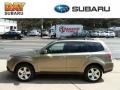 2009 Topaz Gold Metallic Subaru Forester 2.5 X Premium  photo #1