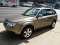 2009 Topaz Gold Metallic Subaru Forester 2.5 X Premium  photo #6