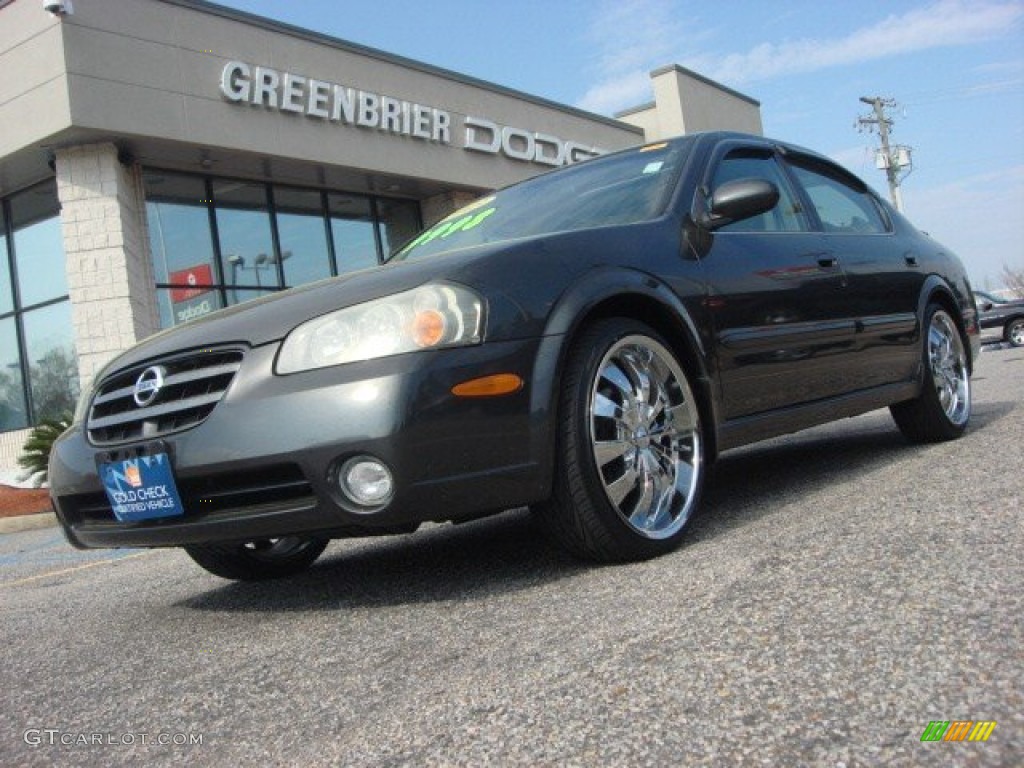 2003 Maxima SE - Gray Lustre / Frost photo #1