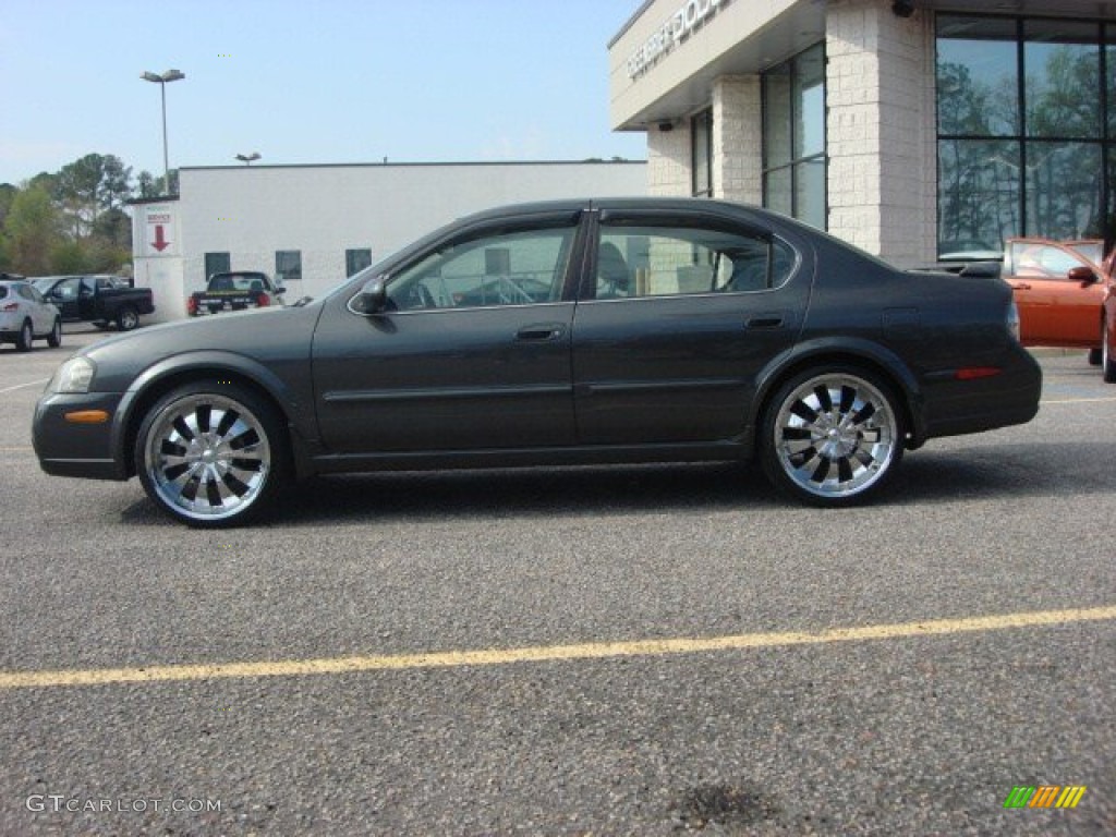2003 Maxima SE - Gray Lustre / Frost photo #3
