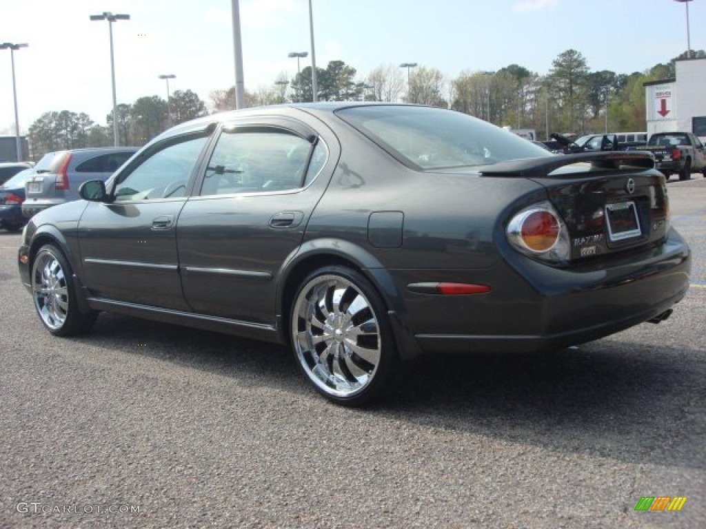 2003 Maxima SE - Gray Lustre / Frost photo #4