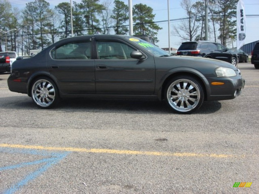 2003 Maxima SE - Gray Lustre / Frost photo #6