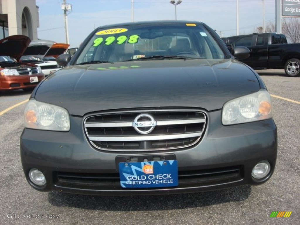 2003 Maxima SE - Gray Lustre / Frost photo #8