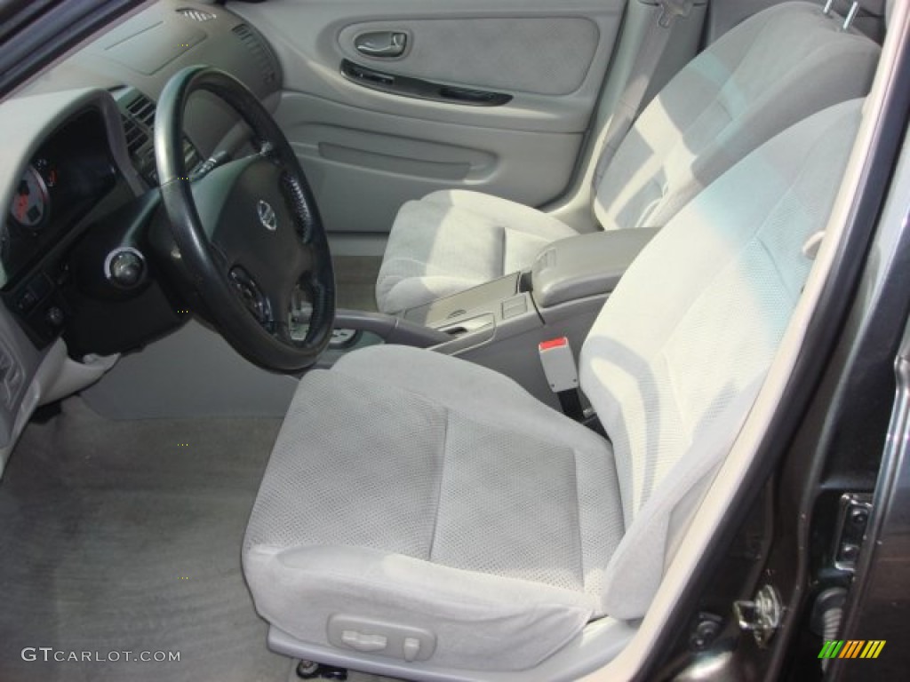 2003 Maxima SE - Gray Lustre / Frost photo #9