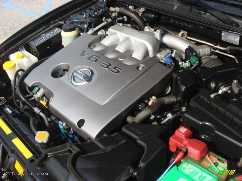 2003 Maxima SE - Gray Lustre / Frost photo #24