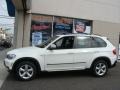 Alpine White - X5 3.0si Photo No. 3