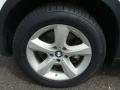 Alpine White - X5 3.0si Photo No. 15