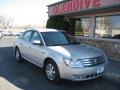 Smokestone Metallic - Taurus SEL AWD Photo No. 4