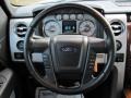 Black Steering Wheel Photo for 2010 Ford F150 #62685404