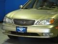 Golden Sand Metallic - I 35 Photo No. 3