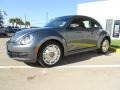 Platinum Gray Metallic - Beetle 2.5L Photo No. 3