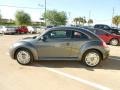 Platinum Gray Metallic - Beetle 2.5L Photo No. 4
