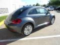 Platinum Gray Metallic - Beetle 2.5L Photo No. 7