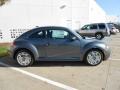 Platinum Gray Metallic - Beetle 2.5L Photo No. 8