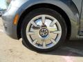 Platinum Gray Metallic - Beetle 2.5L Photo No. 9
