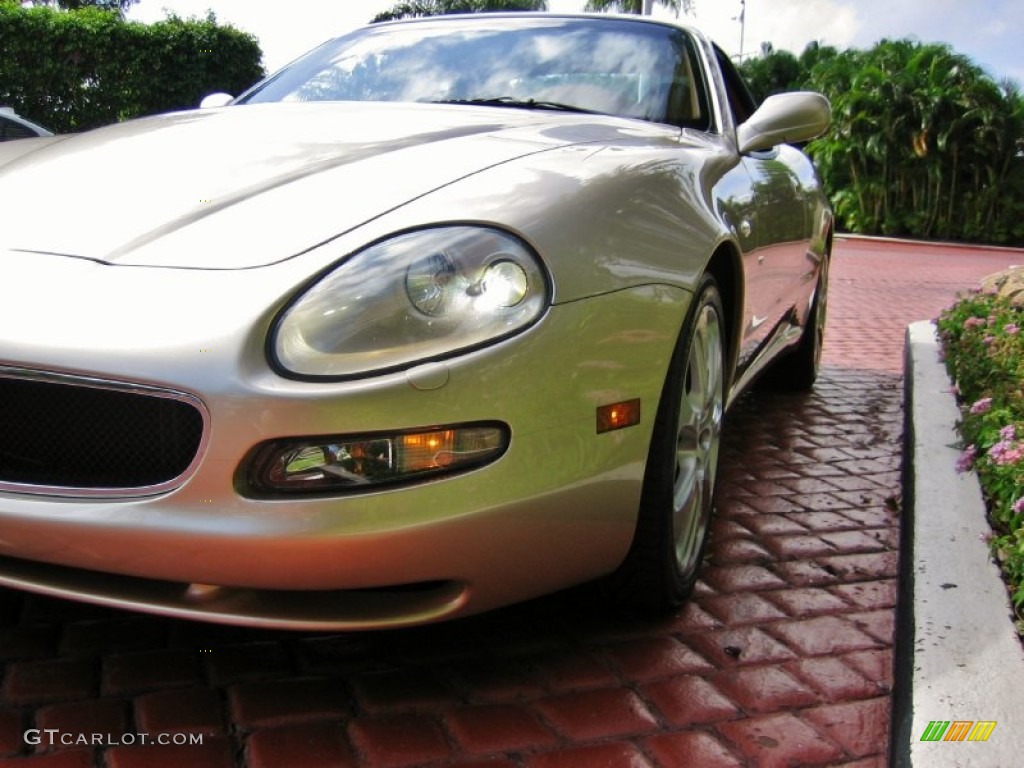 2002 Coupe Cambiocorsa - Quarzo Dolomite / Beige photo #10