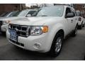 2010 White Suede Ford Escape XLT 4WD  photo #1