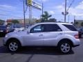Iridium Silver Metallic - ML 500 4Matic Photo No. 6