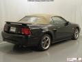 Black - Mustang GT Convertible Photo No. 20