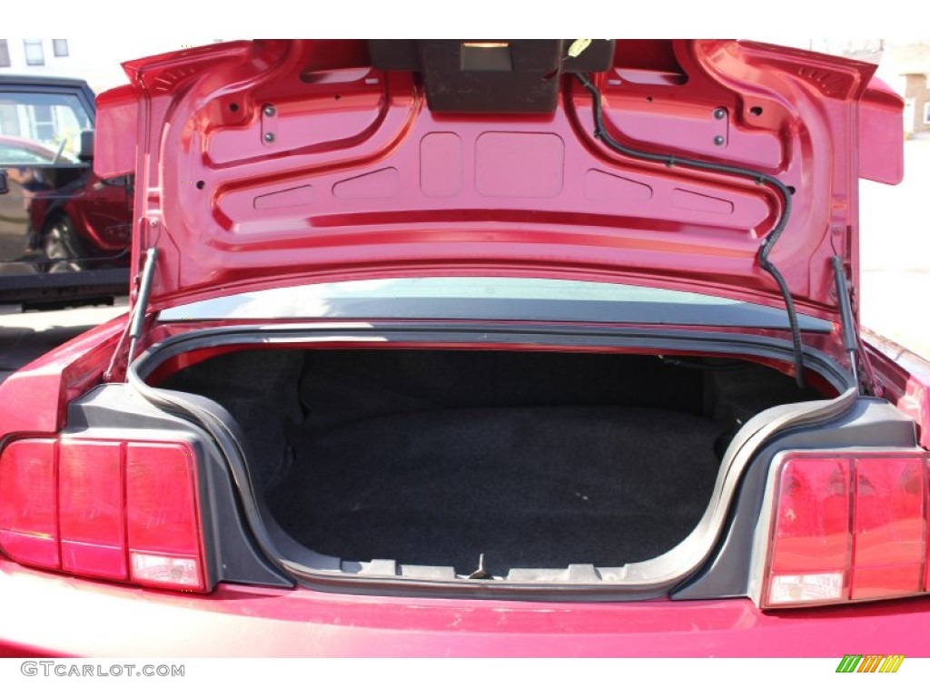 2007 Mustang V6 Premium Coupe - Redfire Metallic / Dark Charcoal photo #10