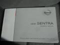 Brilliant Silver - Sentra 2.0 Photo No. 15