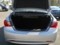 Radiant Silver - Sonata GLS Photo No. 6