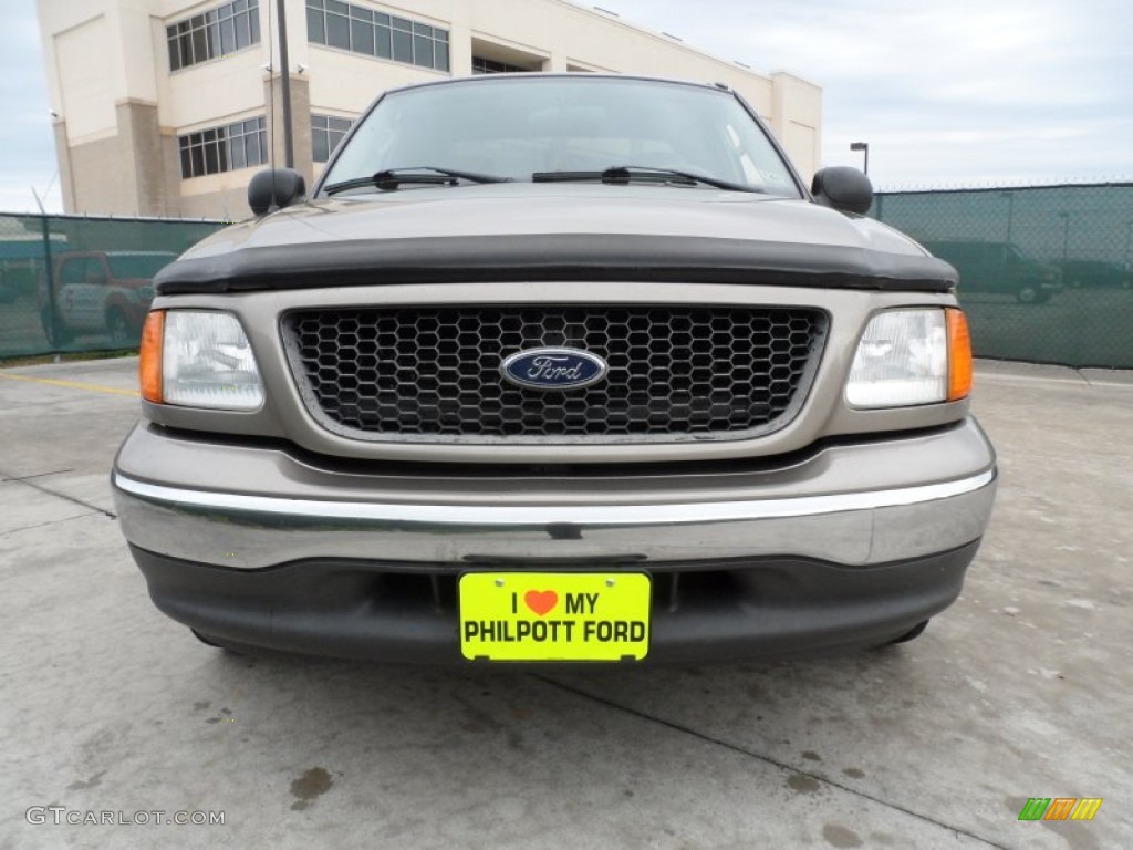 2004 F150 XLT Heritage SuperCab - Arizona Beige Metallic / Heritage Medium Parchment photo #9