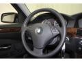 Black Steering Wheel Photo for 2010 BMW 5 Series #62722858