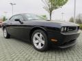 Blackberry Pearl - Challenger SXT Photo No. 4
