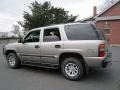 Light Pewter Metallic - Tahoe LS 4x4 Photo No. 4