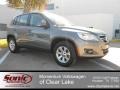 Alpine Grey Metallic - Tiguan S Photo No. 1