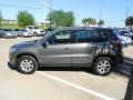 Alpine Grey Metallic - Tiguan S Photo No. 4