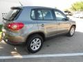 2009 Alpine Grey Metallic Volkswagen Tiguan S  photo #7