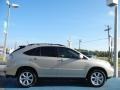 2008 Savannah Metallic Lexus RX 350  photo #7