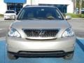 Savannah Metallic - RX 350 Photo No. 9
