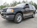 Black Clearcoat - Expedition XLT Photo No. 1