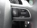 Black/Tuscan Brown Silk Nappa Leather Controls Photo for 2011 Audi S5 #62743672