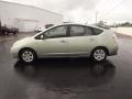 2009 Silver Pine Mica Toyota Prius Hybrid  photo #4