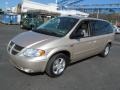 Linen Gold Metallic - Grand Caravan SXT Photo No. 7