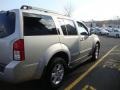 Silver Lightning - Pathfinder S 4x4 Photo No. 7