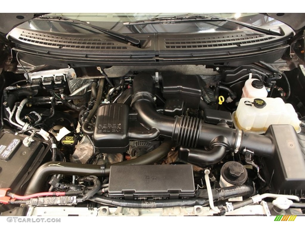 2010 Ford F150 XLT SuperCrew 4x4 5.4 Liter Flex-Fuel SOHC 24-Valve VVT Triton V8 Engine Photo #62751577