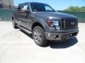 Sterling Gray Metallic 2012 Ford F150 FX4 SuperCrew 4x4 Exterior