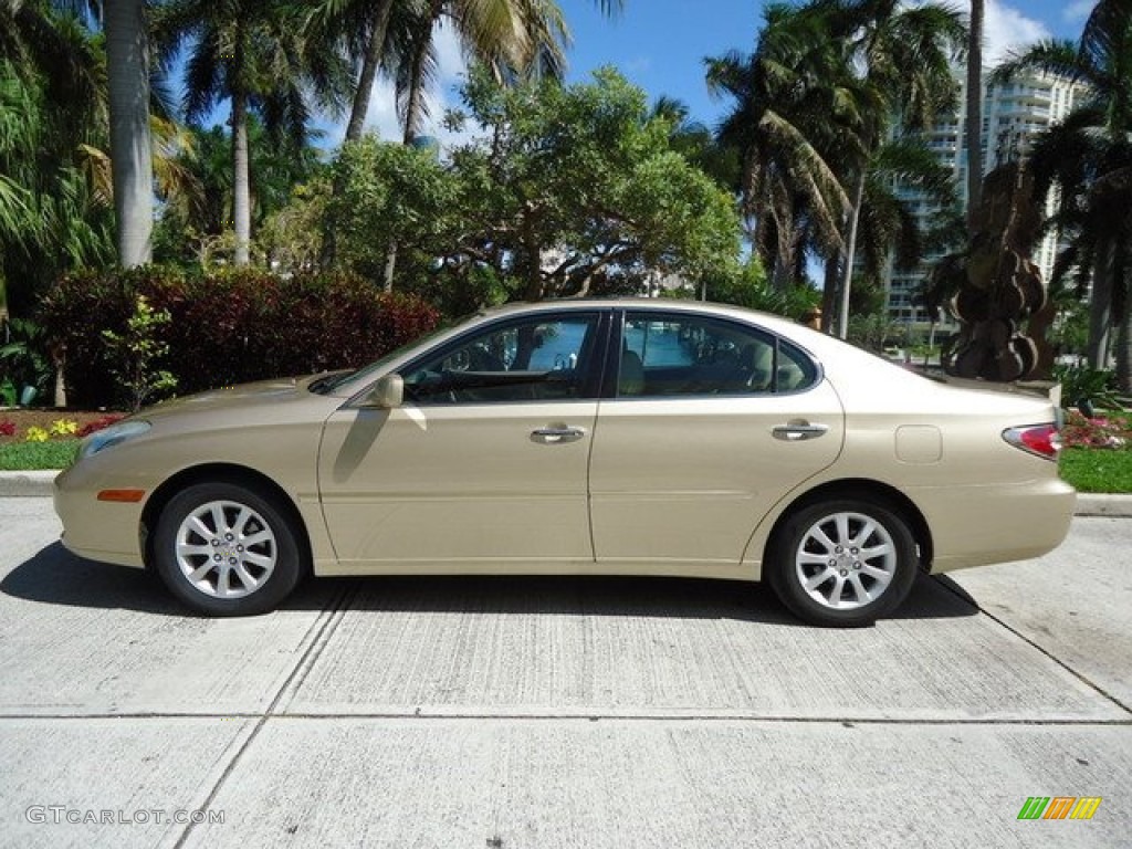 Mystic Gold Metallic 2002 Lexus ES 300 Exterior Photo #62754664