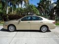 Mystic Gold Metallic 2002 Lexus ES 300 Exterior