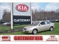 Light Almond Beige Metallic 2007 Kia Optima LX