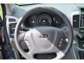 2009 Kia Sedona Gray Interior Steering Wheel Photo