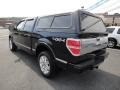 2010 Tuxedo Black Ford F150 Platinum SuperCrew 4x4  photo #4